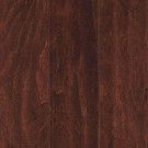 Mohawk Take Home Sample - Foster Valley Autumn Russet Engineered Scraped Hardwood Flooring - 5 in. x 7 in.-HEC94-40 206926508